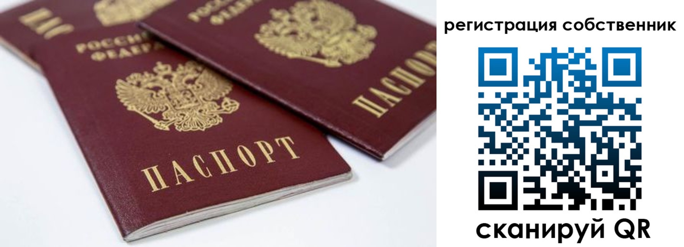 прописка для школы в Рыбном